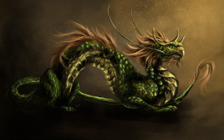 Green dragon curled tail closed - dragon art free wallpaper