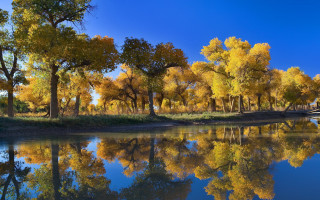 River trees boat sky autumn - a blue sky in the background free wallpaper for desktop