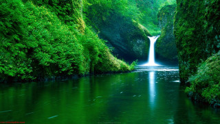 Waterfall green forest stream nature 13 - free nature wallpaper