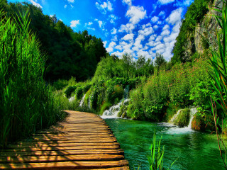 Wooden path waterfall forest blue - a wooden path free wallpaper
