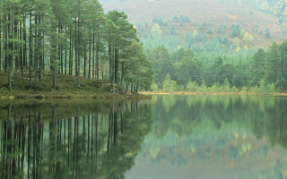 Lake forest mountains reflections ecological - a mountain in the distance free wallpaper