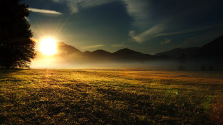 Field tree sunset clouds mountains - a matte painting free wallpaper