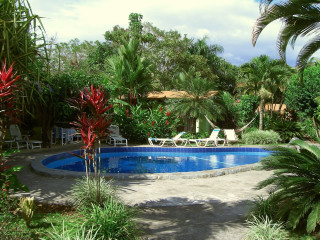 Pool palm trees chairs backyard - a pool free wallpaper for desktop