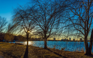 Lake trees bench city sunset - david park free wallpaper