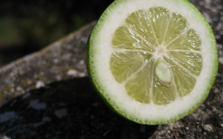 Lime half rock green background - edge free wallpaper