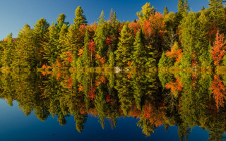 Forest lake autumn leaves bench - color free wallpaper