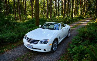 White car forest road bush - dennis ashbaugh free wallpaper for desktop