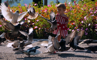 Little girl birds flowers park - a little girl free wallpaper