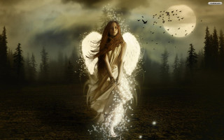 Woman sword field moon bird - dark fantasy art free wallpaper