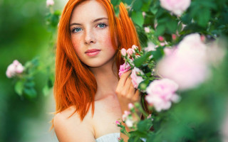 Red haired woman flower portrait - pink rose free wallpaper