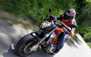Man motorcycle forest sunny gear - a forest of trees and bushes free wallpaper