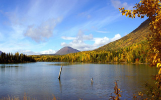 Lake mountains trees blue sky 6 - mountain and trees free wallpaper for desktop