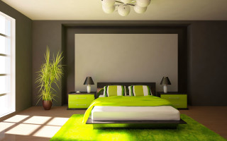 Bedroom green carpet green plant - a bedroom free wallpaper