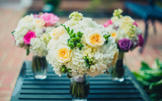 Flowers vases table bike shallow - anne rigney free wallpaper