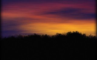 Sunset silhouette tree building cloudy - australian tonalism free wallpaper for desktop