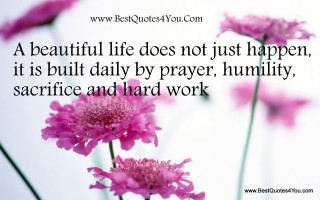 Pink flowers quote beauty nature - a picture free wallpaper