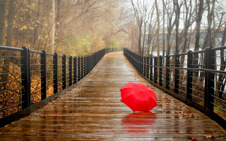 Red umbrella wooden bridge rain - tree and water free wallpaper