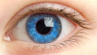 Blue eye black center macro - the eye free wallpaper