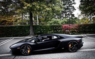 Black sports car parking lot 37 - a tree and bushes free wallpaper