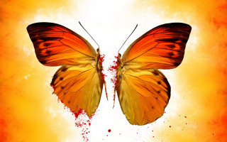 Butterfly autumn leaves fire gradient - spot free wallpaper