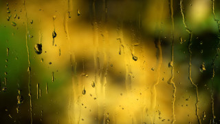 Rainy window blurry tree impressionism - impressionist free wallpaper