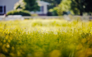 Autumn blurry field house bokeh - field free wallpaper for desktop