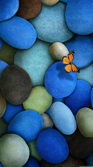 Butterfly sitting rock blue green 4 - a rock free wallpaper