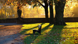 Park bench autumn leaves fire - david park free wallpaper