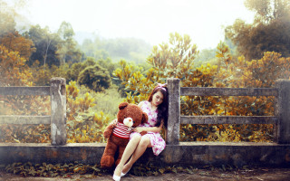 Woman bench teddy forest autumn - a wooden bench free wallpaper