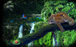 Leopard tree branch jungle waterfall - overhead free wallpaper