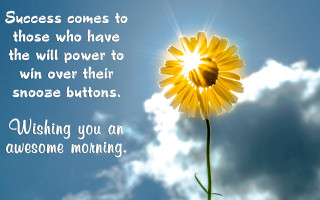 Yellow flower sky background quote - a sky background and a quote free wallpaper