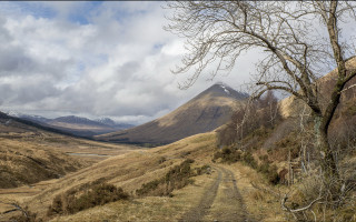 Dirt road valley mountain tree - widescreen free wallpaper
