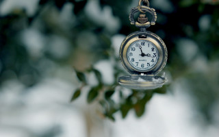 Small clock tree branch snow - background of leaves free wallpaper