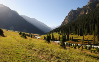 Grassy field mountain valley trees - a grassy field free wallpaper