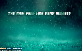 Rain soaked field dead bullets - dead free wallpaper
