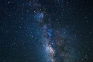 Night sky stars trees foreground 7 - astrophotography free wallpaper