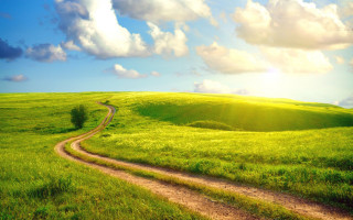 Dirt road green field blue - a dirt road free wallpaper