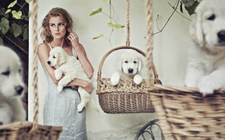 Woman puppies basket impressionist photography - a basket free wallpaper