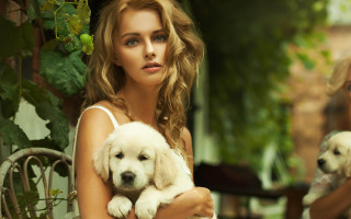 Woman puppy outside blurry animals - a puppy free wallpaper