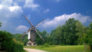 Windmill field dirt path trees - barthel bruyn free wallpaper