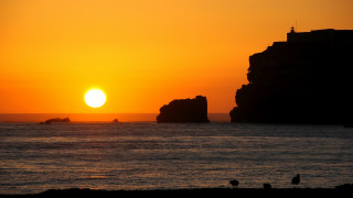 Sunset ocean island bird matte - a sunset over the ocean free wallpaper