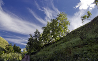 Grassy hill path trees blue 2 - a path free wallpaper