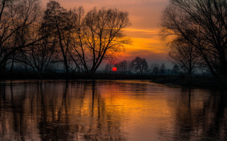Sunset water trees red ball - evening free wallpaper