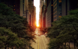 City street trees skyscraper sunset - tall building and trees free wallpaper