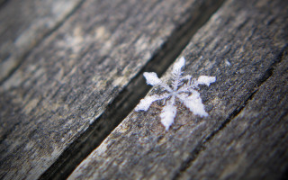 Snowflake wooden surface blurry background - a snowflake free wallpaper