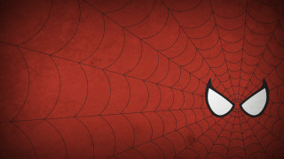 Spider eyes web red background - a spider web free wallpaper