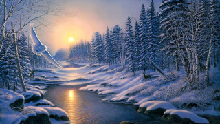 Snowy river bird forest sunset - david free wallpaper