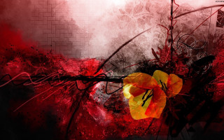 Flower red brickwall abstract blood - alison kinnaird free wallpaper