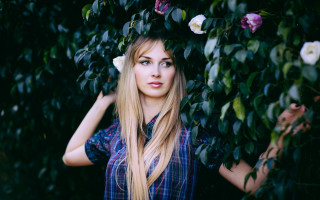 Woman blonde longhair flower bush - a blue shirt free wallpaper for desktop