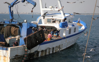 Boat birds man camera ecological - bascove free wallpaper